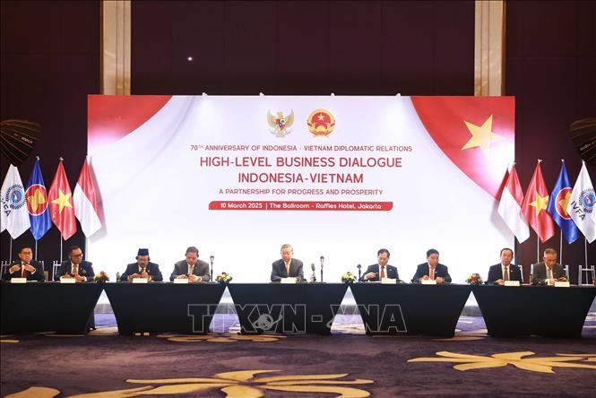 Tổng Bí thư Tô Lâm dự Tọa đàm doanh nghiệp “Việt Nam và Indonesia: Quan hệ đối tác vì sự tiến bộ và thịnh vượng”