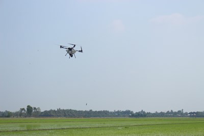 Drone và công nghệ trên ruộng đồng