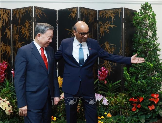 Tổng Bí thư Tô Lâm hội kiến Tổng thống Singapore