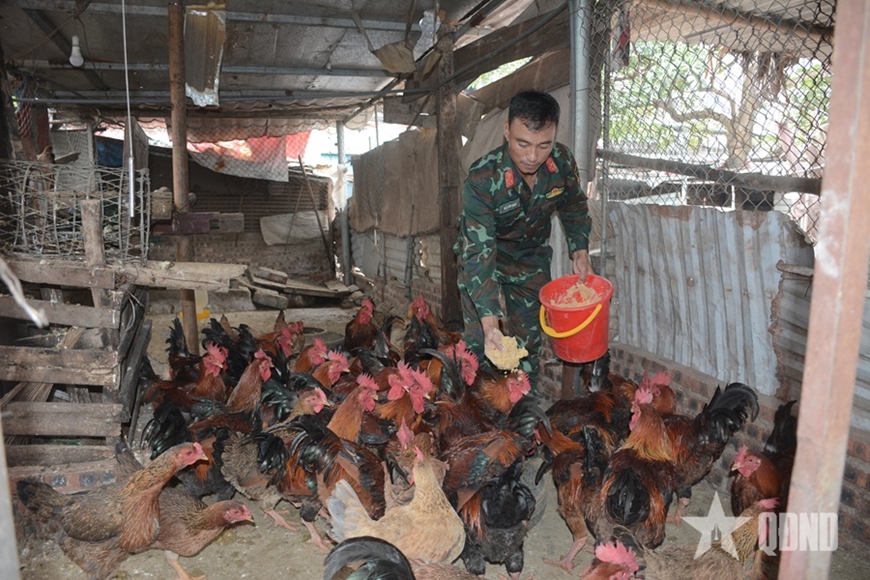 Khéo tăng gia nơi đô thị chật hẹp