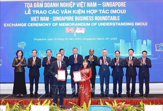 Tổng Bí thư Tô Lâm dự Tọa đàm doanh nghiệp Việt Nam - Singapore: “Việt Nam - Điểm đến của kỷ nguyên khoa học công nghệ và hợp tác tài chính”