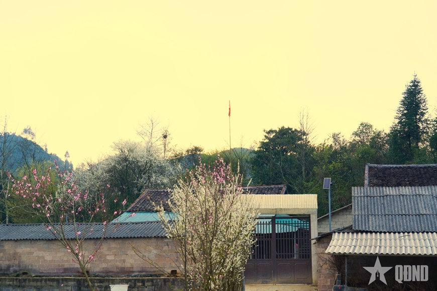 Hương sắc tháng 3 nơi địa đầu Tổ quốc