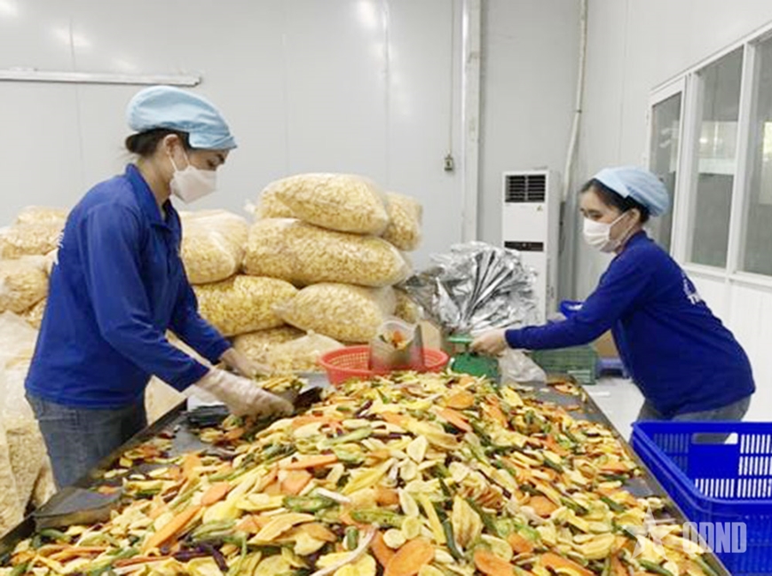Tạo thuận lợi cho doanh nghiệp tư nhân phát triển sản xuất, kinh doanh
