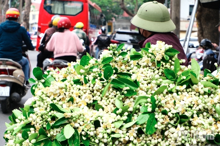 Nỗi nhớ tháng ba
