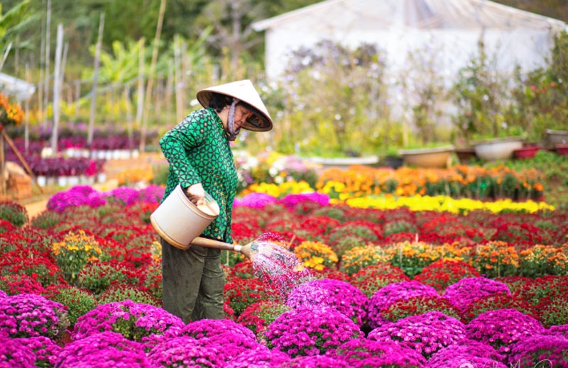 Kon Tum khai thác tài nguyên độc đáo để phát triển du lịch