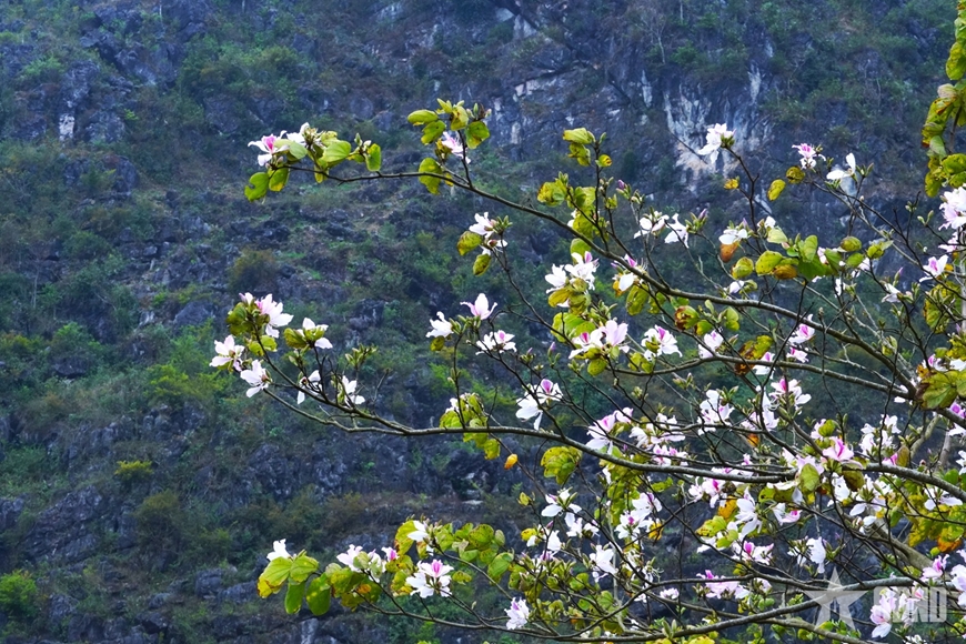 Về nơi chuyện tình trăm năm trên miền cao nguyên đá