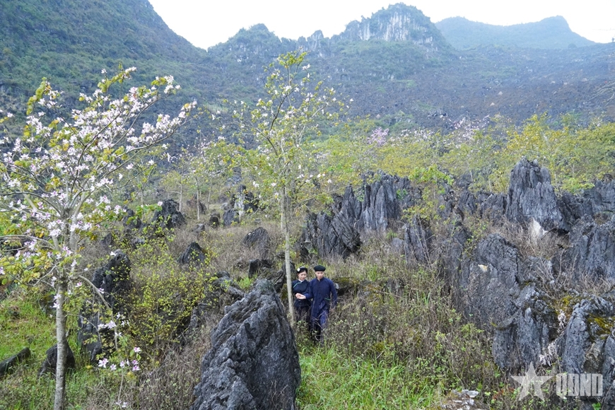 Về nơi chuyện tình trăm năm trên miền cao nguyên đá