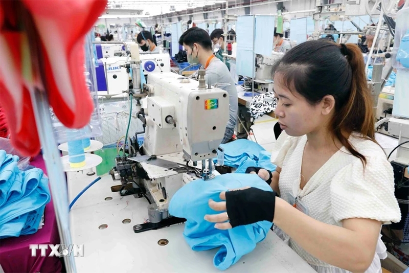 Hoa Kỳ áp thuế đối ứng 46%: Việt Nam ứng phó ra sao?
