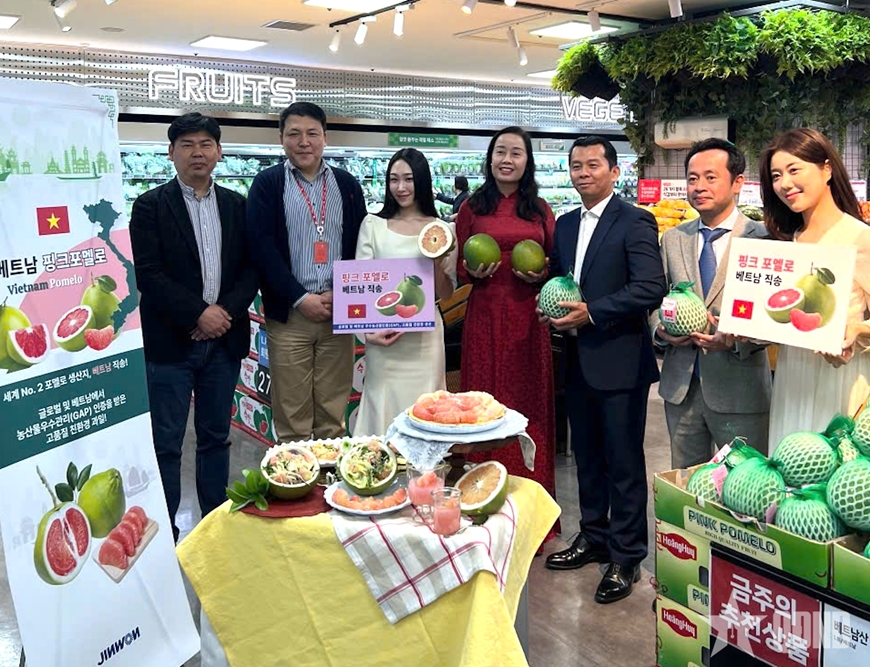 Trái bưởi Việt Nam chính thức có mặt trên kệ hàng Lotte Mart Hàn Quốc