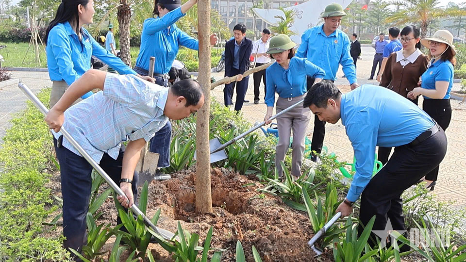 Điện Biên: Phát động trồng mới hơn 200 cây hoa ban