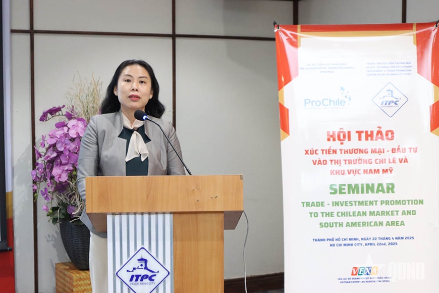 Hội thảo kết nối thương mại - đầu tư giữa Việt Nam và khu vực Nam Mỹ