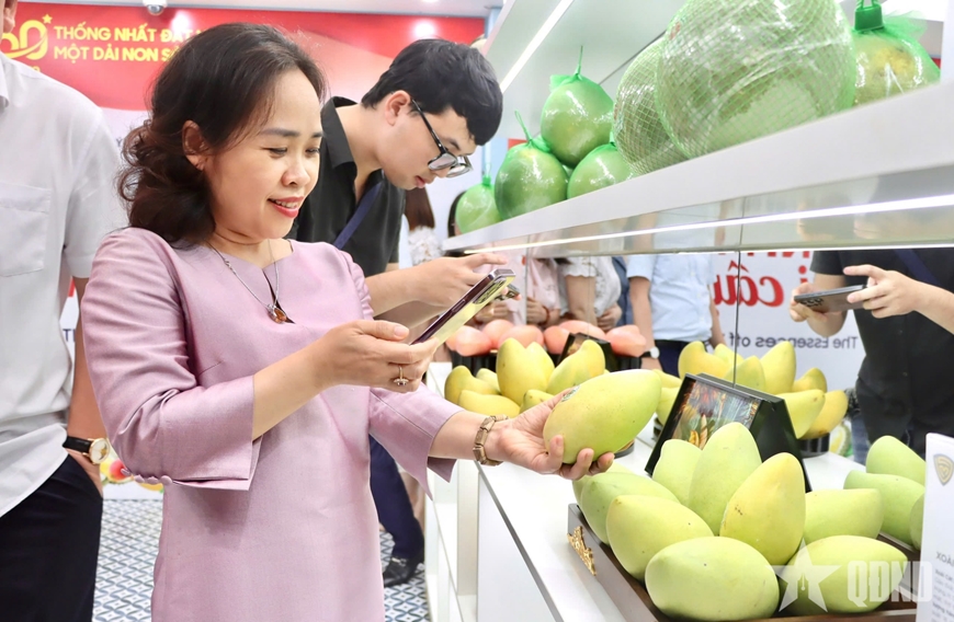 Giới thiệu, quảng bá, thúc đẩy phát triển “Tinh hoa trái cây Việt"