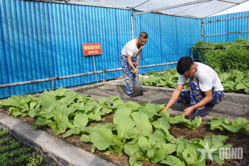 Tăng gia sản xuất trên quần đảo Trường Sa Tăng gia sản xuất trên quần đảo Trường Sa