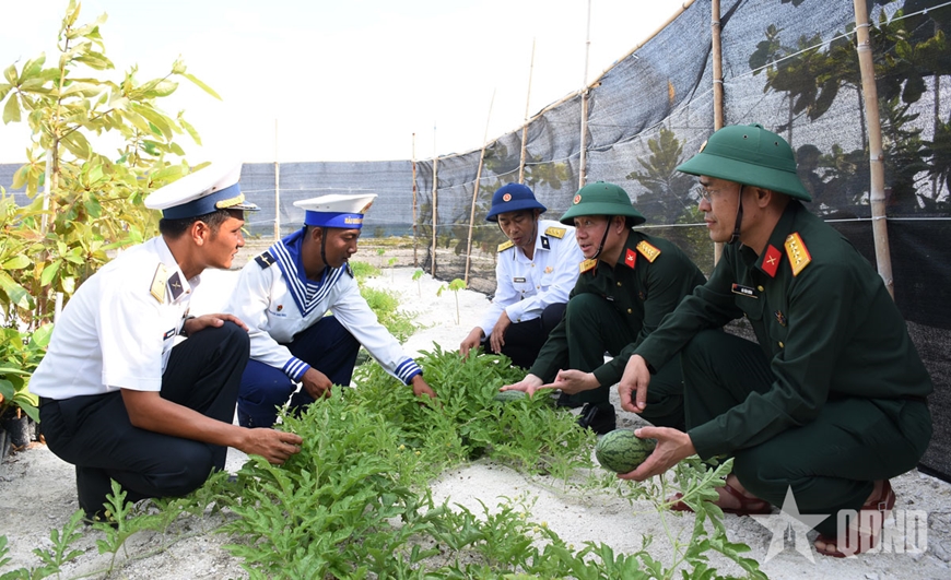 Tăng gia sản xuất trên quần đảo Trường Sa Tăng gia sản xuất trên quần đảo Trường Sa