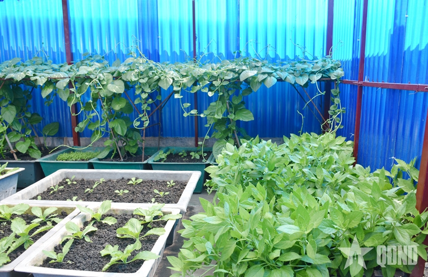 Tăng gia sản xuất trên quần đảo Trường Sa Tăng gia sản xuất trên quần đảo Trường Sa