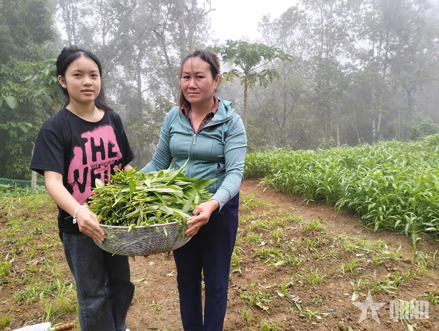   Những rổ rau nặng tình nghĩa gắn kết giữa nhà trường với nhân dân địa bàn.