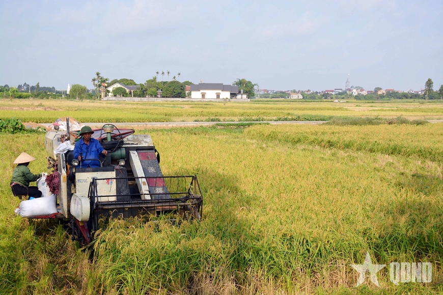 Nông nghiệp góp phần làm nên chiến thắng lịch sử