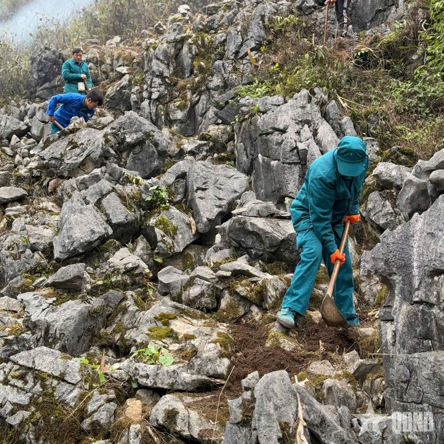 Hỗ trợ ngày công lao động cho các gia đình có quân nhân tại ngũ tại Sủng Trà