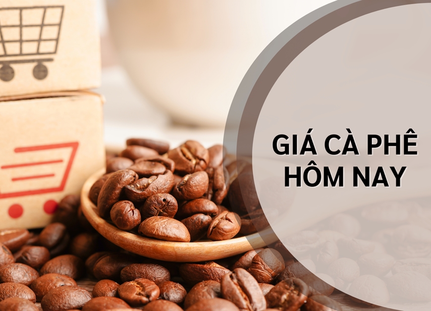 Bản tin nông sản hôm nay (7-5): Giá cà phê neo ở mức cao, hồ tiêu giảm nhẹ