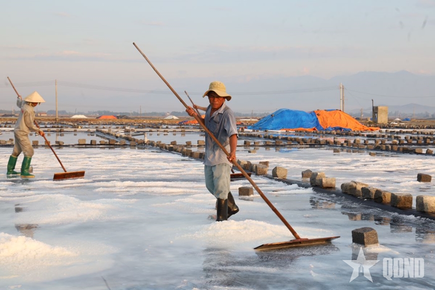 Những "viên ngọc" tự nhiên của biển Hòn Khói