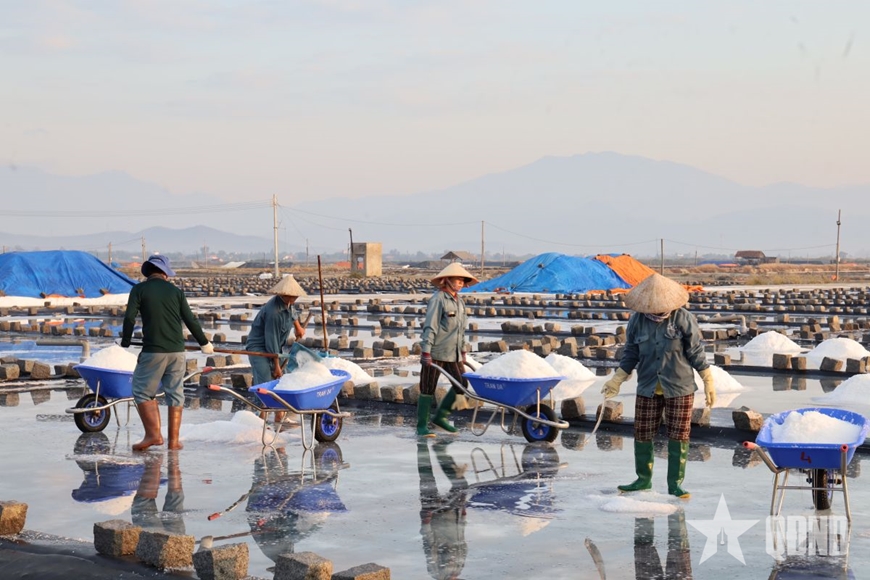 Những "viên ngọc" tự nhiên của biển Hòn Khói