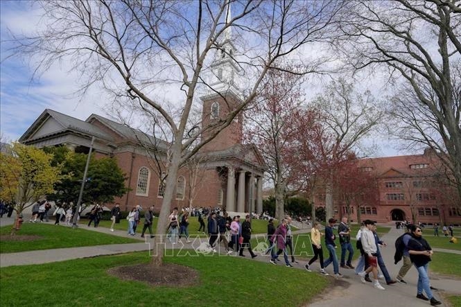 Các nước phản ứng mạnh về việc Mỹ cấm Harvard tuyển sinh viên quốc tế