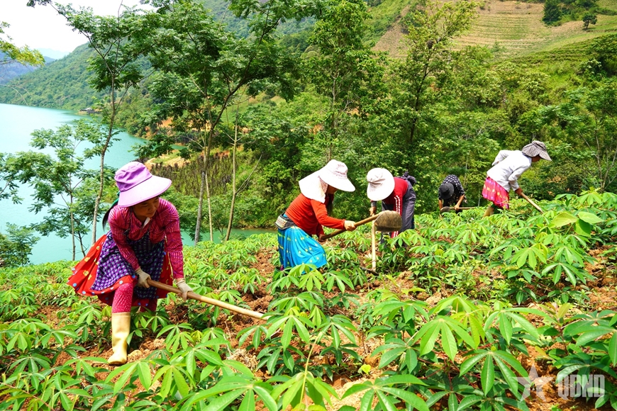 Mèo Vạc – Những mảnh ghép bình yên trên cao nguyên đá Đồng Văn