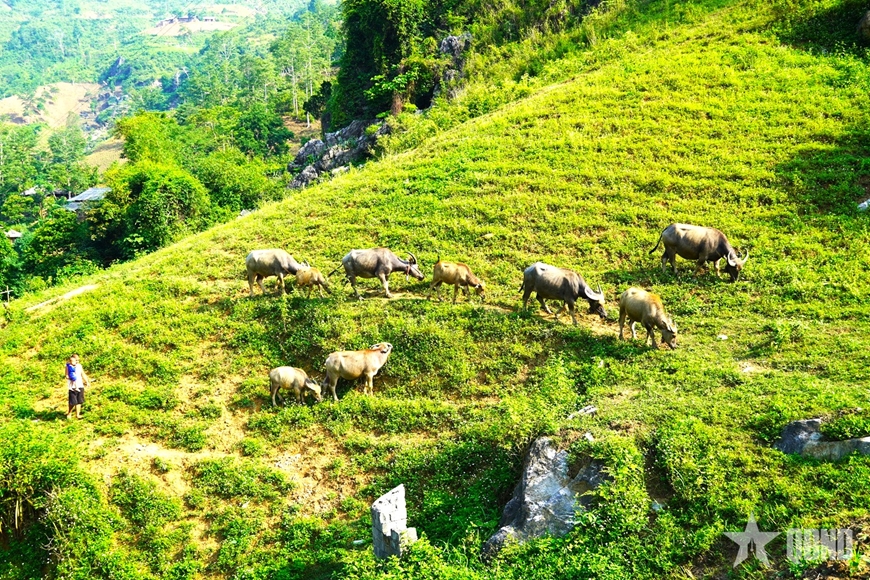 Mèo Vạc – Những mảnh ghép bình yên trên cao nguyên đá Đồng Văn