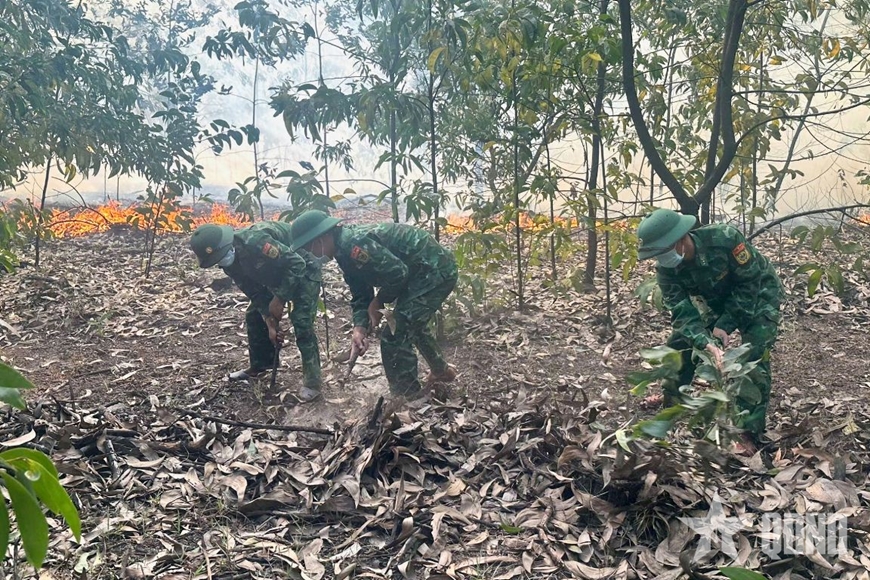Bộ đội Biên phòng TP Huế huy động lực lượng phối hợp chữa cháy rừng
