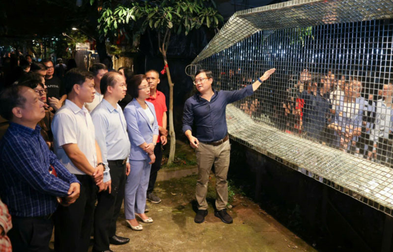 Sớm chuyên nghiệp hóa nghề giám tuyển nghệ thuật