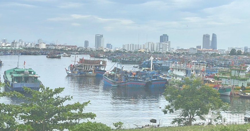 Bão số 1: Tàu thuyền trong vùng nguy hiểm cần tìm nơi tránh trú an toàn