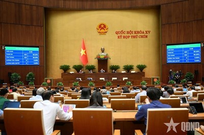 Nghị Trường Quốc Hội: Giải Quyết Kiến Nghị Cử Tri - Bài Học Từ Sự Phối Hợp Hiệu Quả