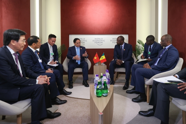 Senegal mong muốn Việt Nam tiếp tục hỗ trợ sản xuất lúa gạo và hạt điều