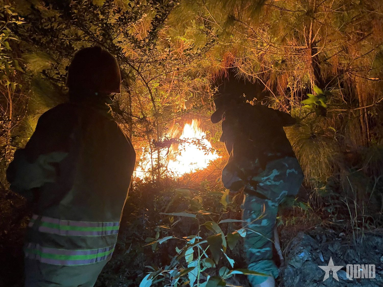 Nghệ An: Dập tắt hoàn toàn đám cháy ở khu vực rừng ven biển xảy ra trong đêm