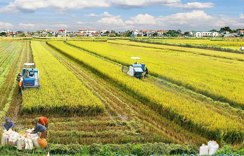 Miễn thuế sử dụng đất nông nghiệp đến hết ngày 31/12/2030