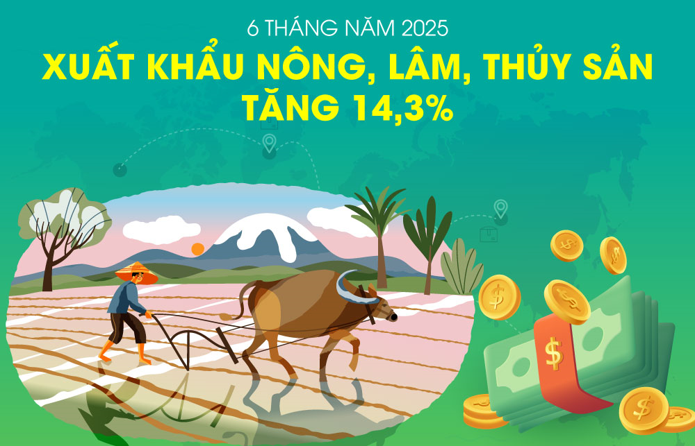 Xuất khẩu nông, lâm, thủy sản tăng 14,3% trong 6 tháng đầu năm 2025
