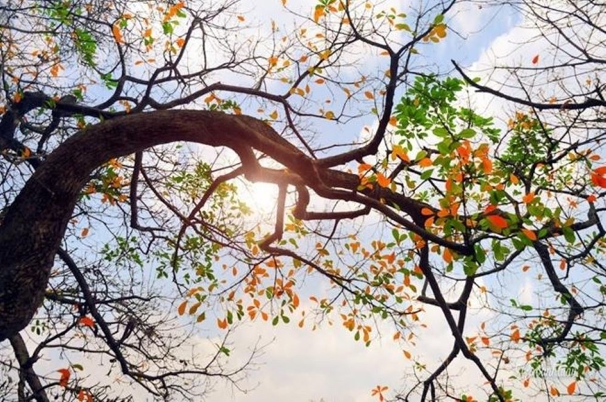 Thời tiết hôm nay (8-7): Bắc Bộ ngày nắng nóng, chiều tối có mưa dông