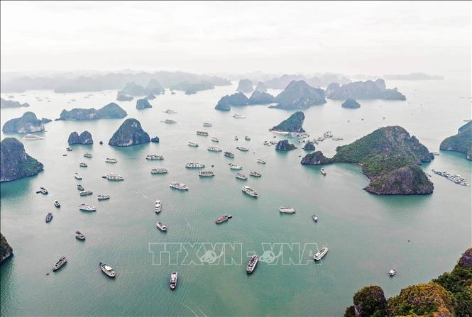 Không thu phí xem pháo hoa đối với du khách tham quan vịnh Hạ Long