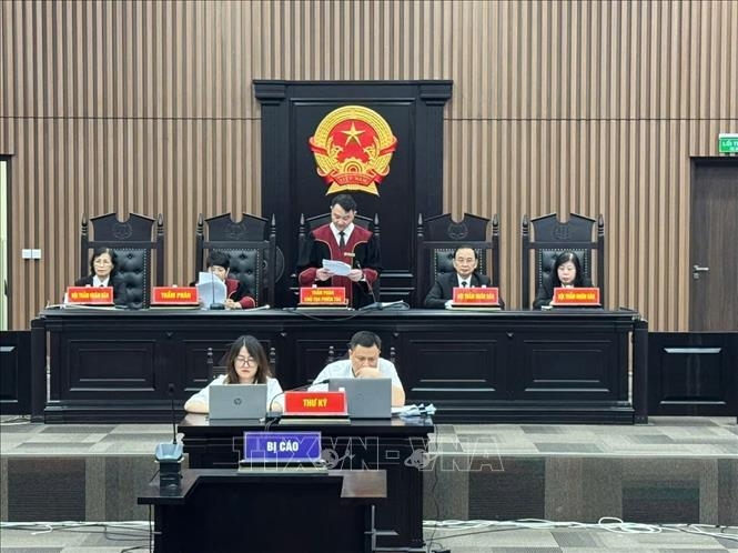Chủ tịch Tập đoàn Phúc Sơn Nguyễn Văn Hậu bị tuyên phạt 30 năm tù