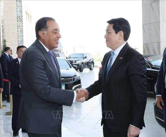 Chủ tịch nước Lương Cường hội kiến Thủ tướng Ai Cập Mostafa Madbouly