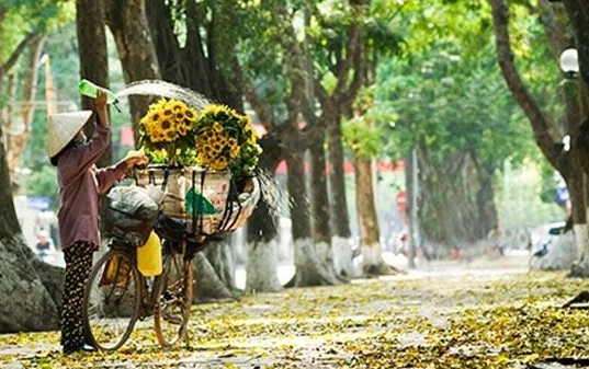 Thời tiết hôm nay (7-8): Miền Bắc giảm mưa, nhiệt độ cao nhất 34 độ C