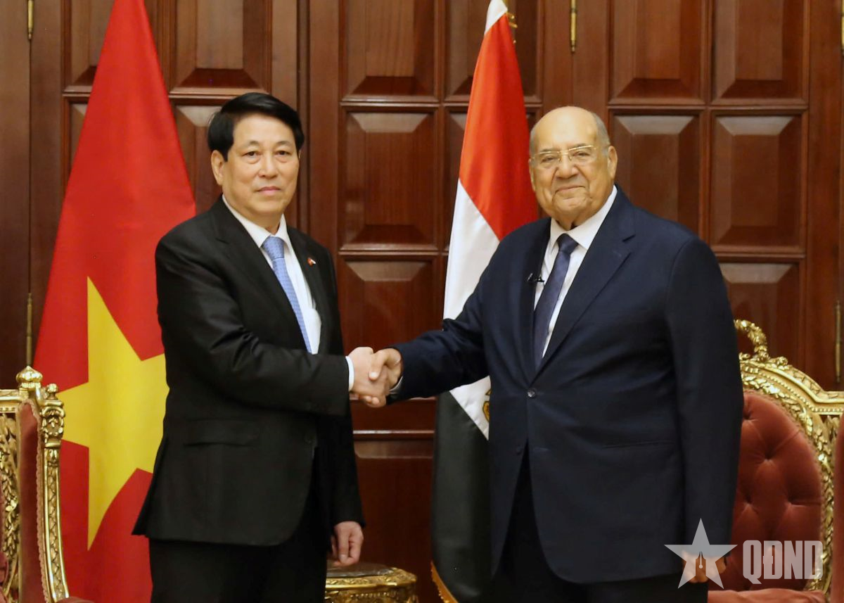 Chủ tịch nước Lương Cường hội kiến Chủ tịch Thượng viện Ai Cập Abdel-Wahab Abdel-Razeq