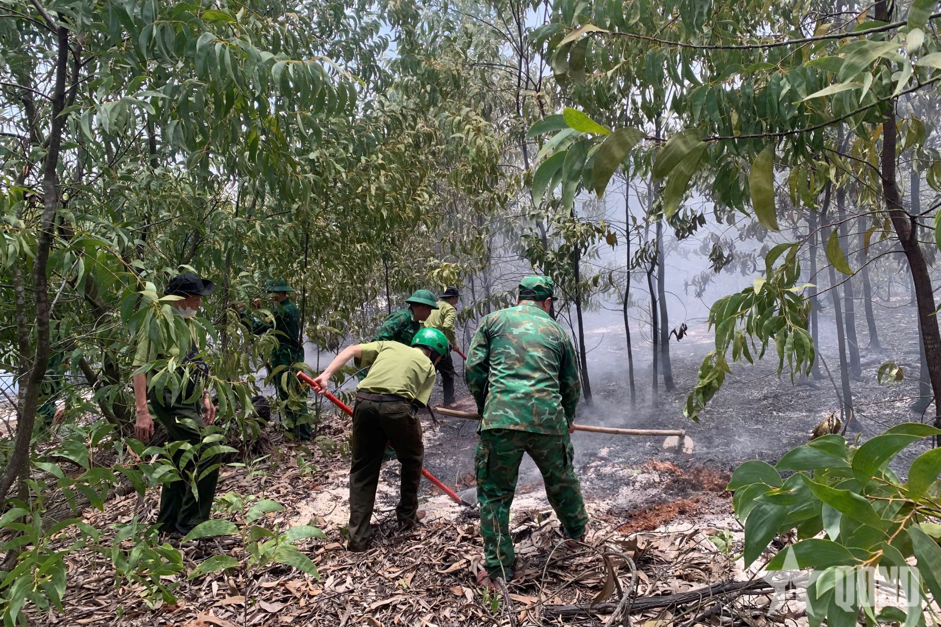 Kịp thời dập tắt đám cháy rừng tại xã Phú Vinh, TP Huế