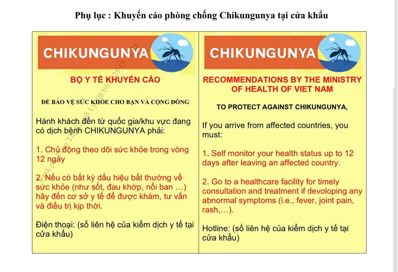Bộ Y tế đề nghị các tỉnh, thành phố tăng cường phòng, chống bệnh chikungunya