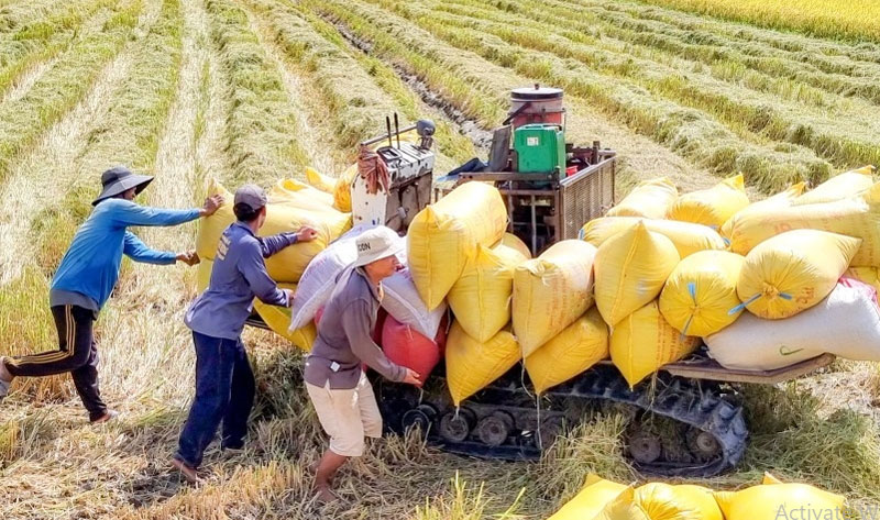 Triển lãm ngành nông nghiệp và môi trường: Kết tinh 80 năm thành tựu vì tương lai bền vững