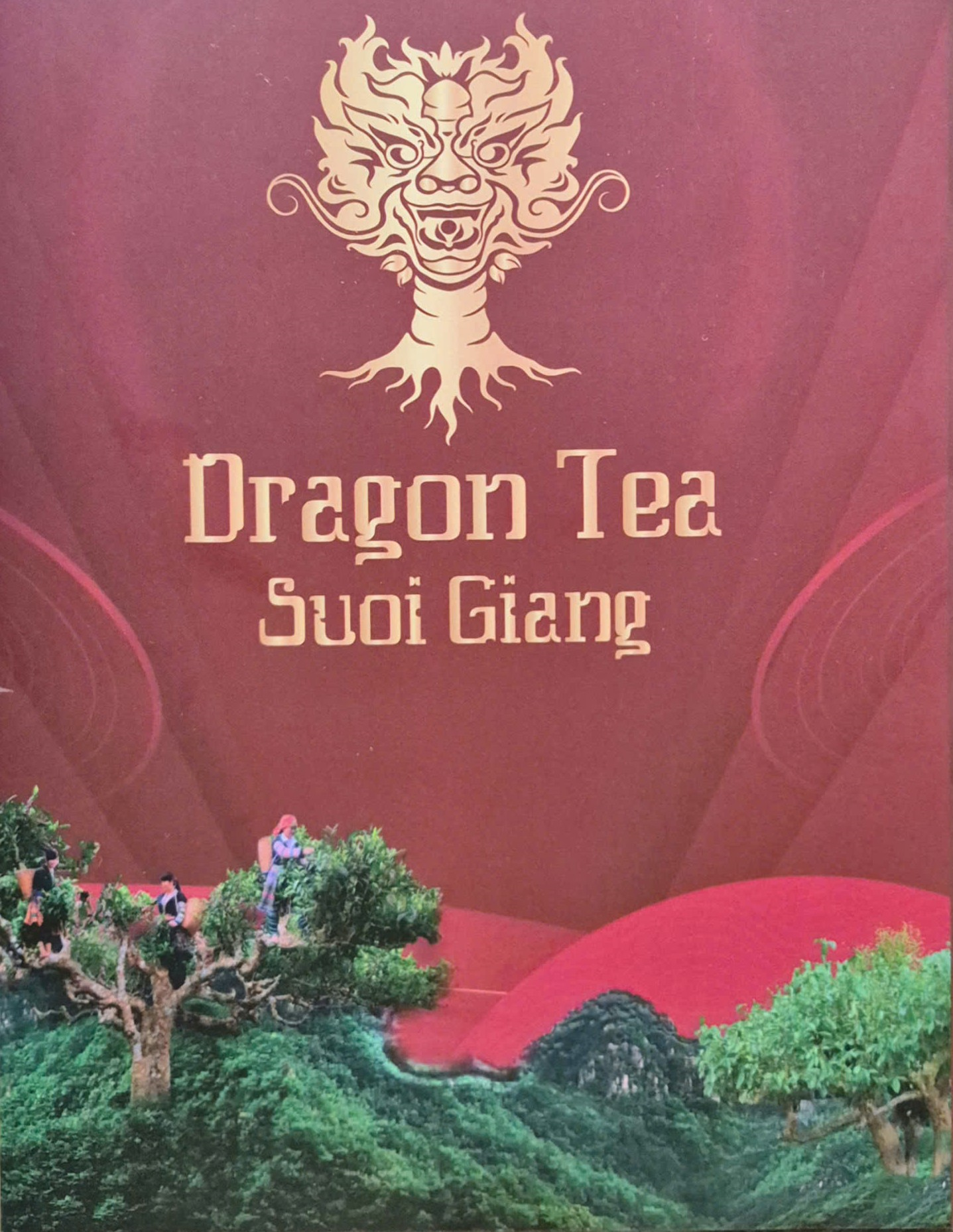 Ra mắt thương hiệu Dragon Tea Suối Giàng