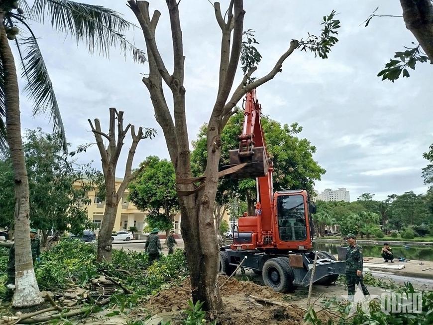 Dàn quân giúp dân chống lũ, "dọn bão"