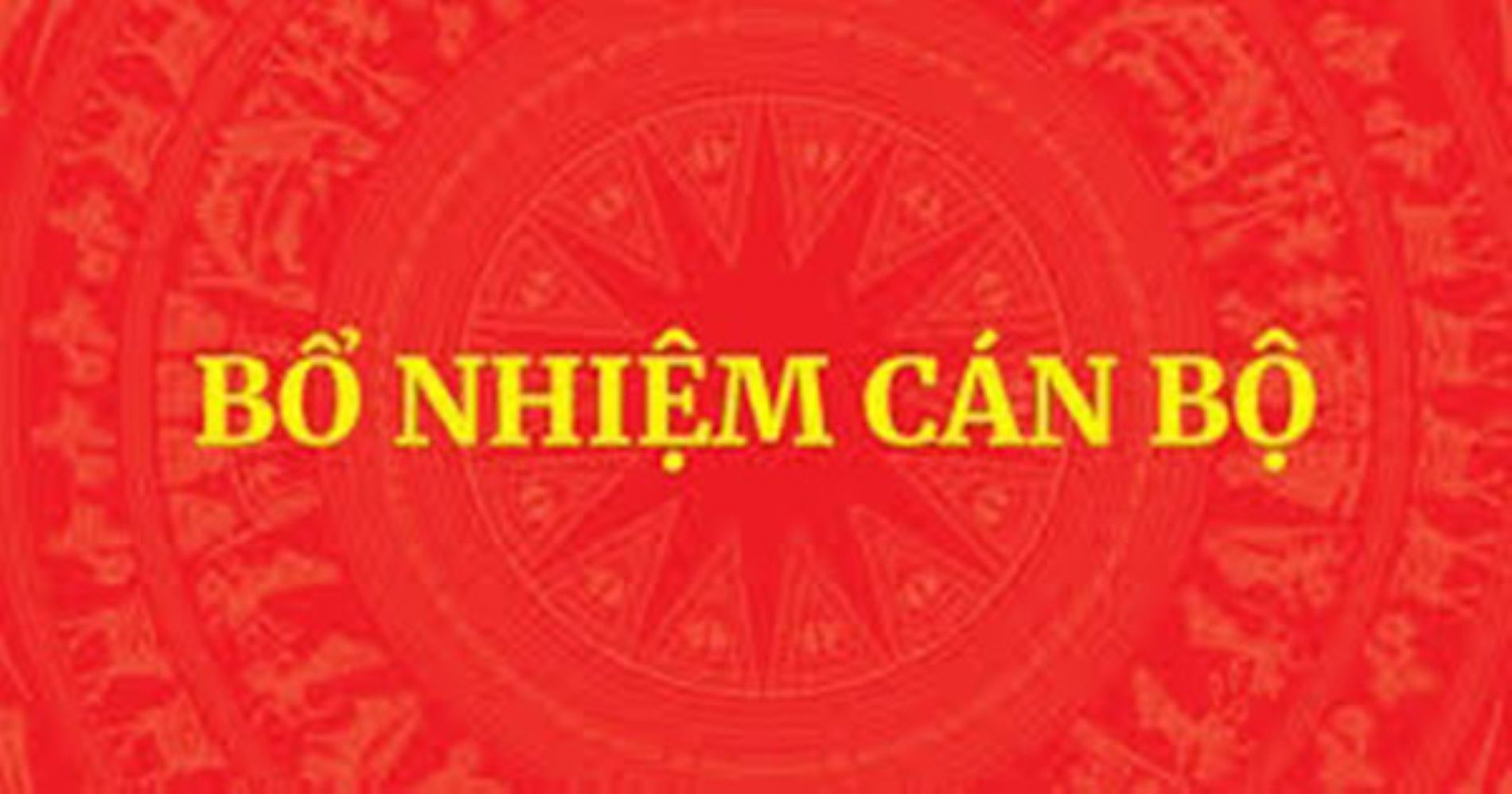 Thủ tướng quyết định bổ nhiệm lãnh đạo một số bộ, cơ quan