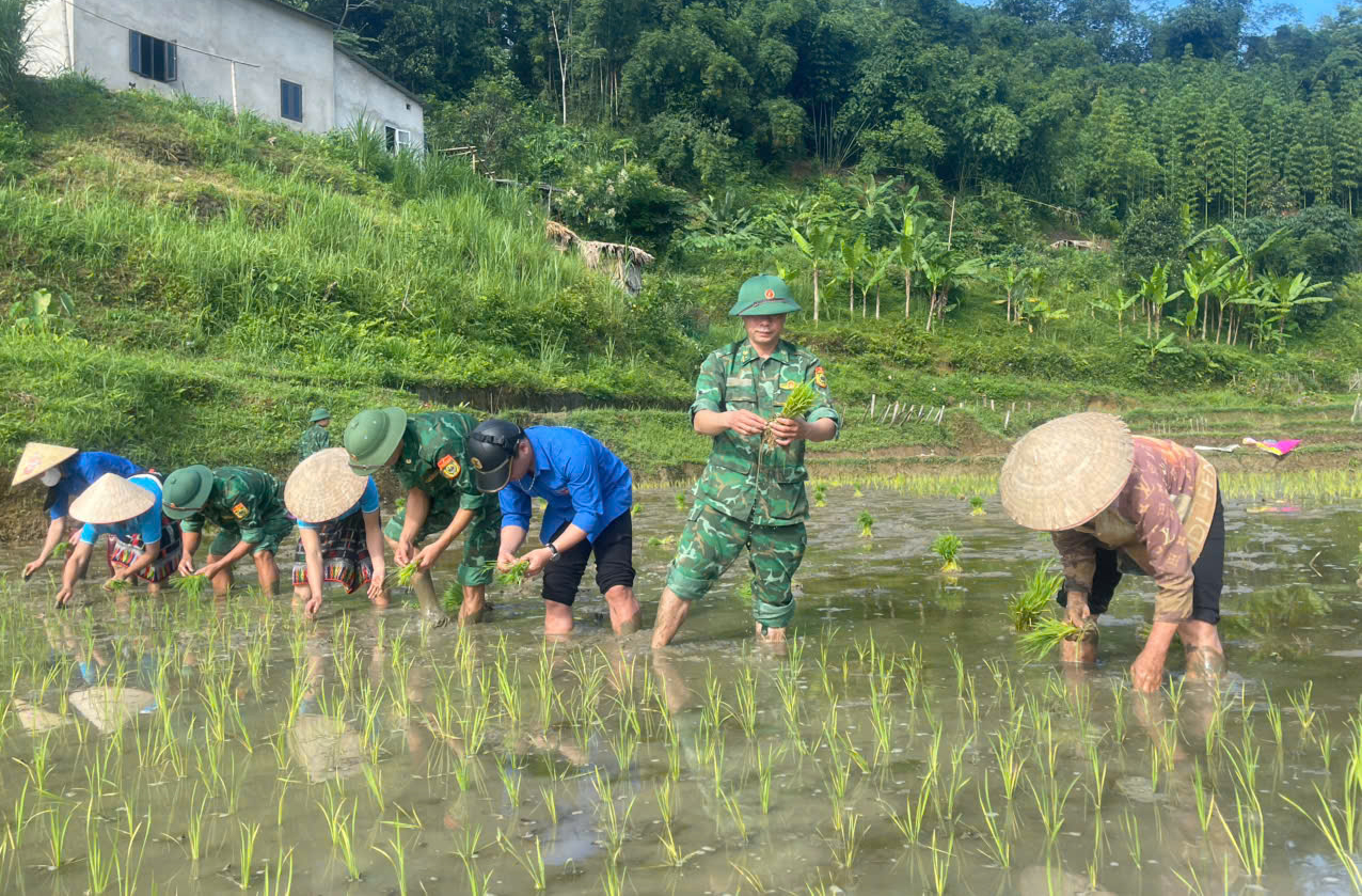 Bản sáng vùng biên