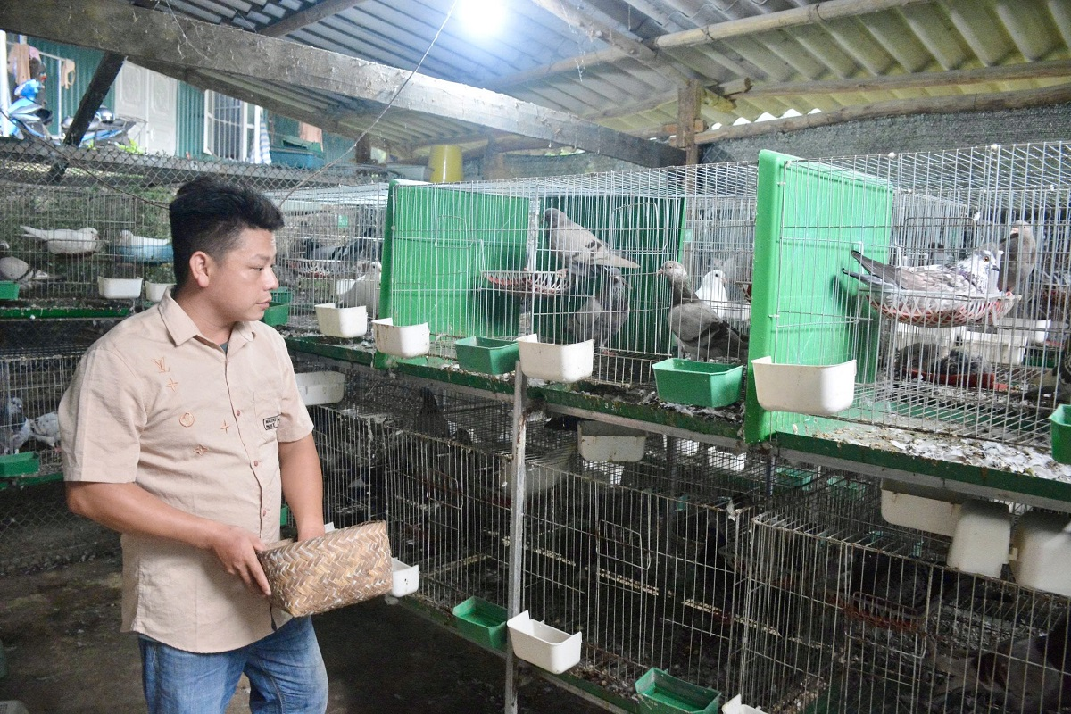 Hành trình xóa nhà tạm: Nâng cao sinh kế, kiến tạo tương lai - Bài 3: Từ mái nhà đến sinh kế: Chặng đường thoát nghèo bền vững (Tiếp theo và hết)